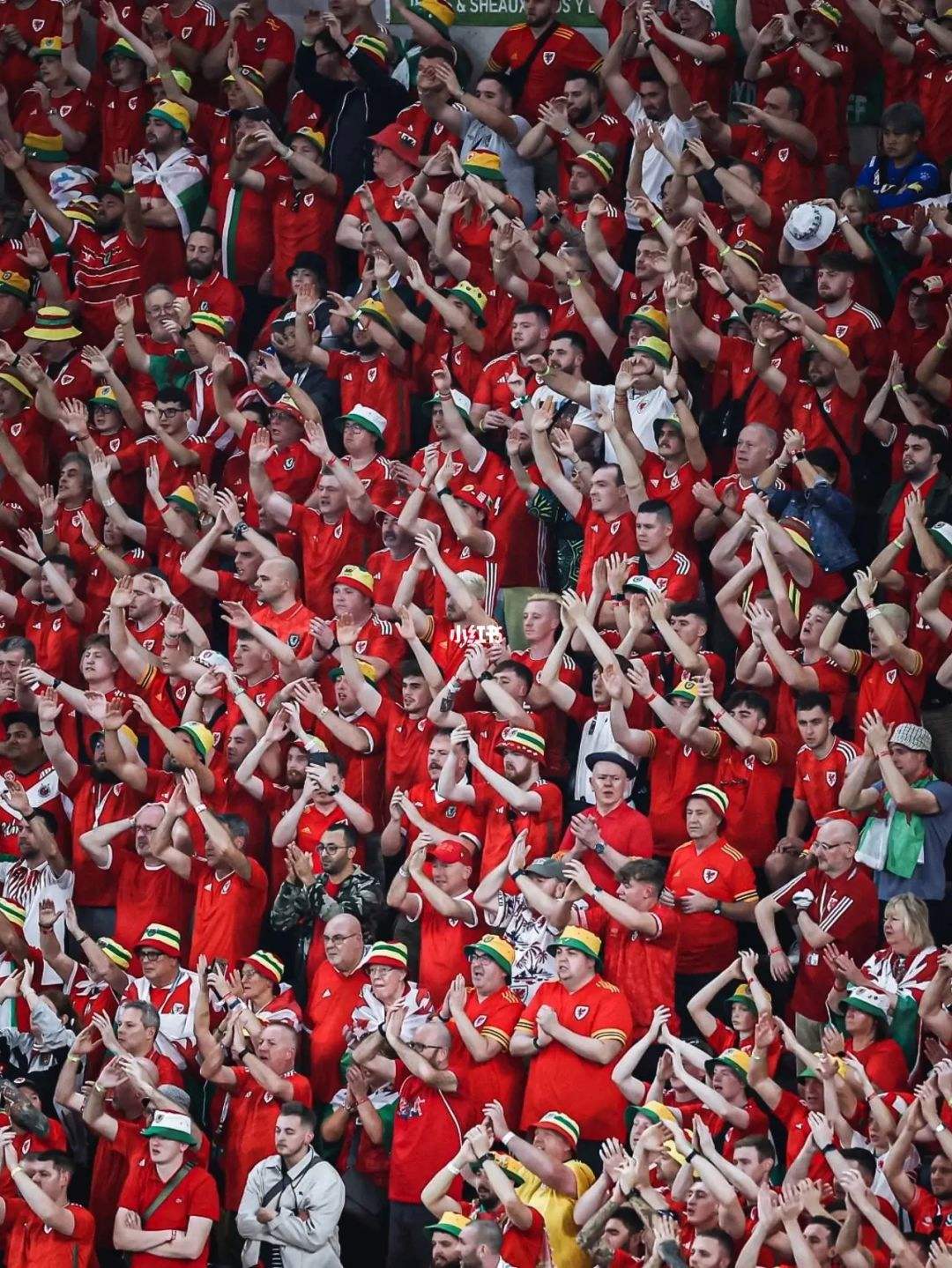 开云世界杯-世界杯旅行看球世界杯旅行看球在哪看